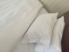 -罗浮山嘉宝田森林温泉度假酒店