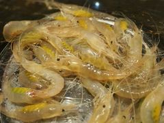 android_upload_pic-渔傅·蓝海岸霞浦海鲜(正祥店)