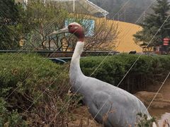 -大连森林动物园