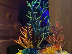 -君康悦美食汤泉水会·SPA(天河店)