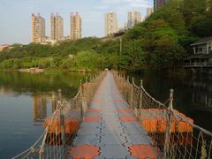 DSC_0831-重庆彩云湖湿地公园