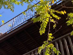 -Local泰莲庭(虹鳟鱼店)