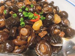 香菇我永远的最爱-同庆楼(金宝汇店)