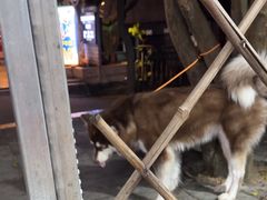 -光明刘冰乳鸽店(光明法政北路店)