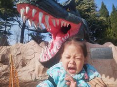 -青岛方特梦幻王国