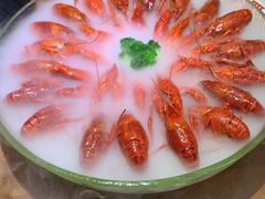 -红盔甲·小龙虾(天钥桥店)