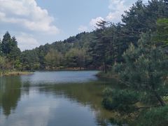 -四明山国家森林公园