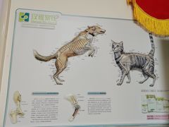 -康旭宠物医院(郑州总院)