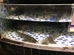 -森谷美食公园(杨行店)