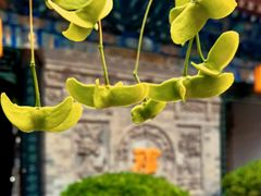 -湘子庙
