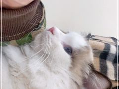-萌兽医馆·犬猫专科·眼科中心·宠物医院(朝阳门分院)