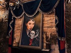 -雪灵魔法世界SHELLY’S TAROT(大良桂畔里店)
