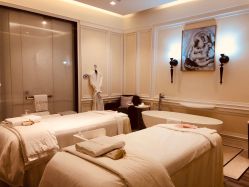 -奥斯芬欧系贵族SPA