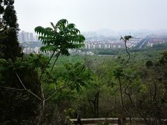 -府君山公园