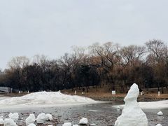 -北陵公园