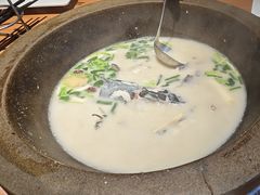 -咕嘟草帽鱼·牛奶一样的鲜鱼汤(包河万达广场创始店)