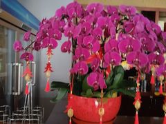-全聚德烤鸭店(马家堡店)