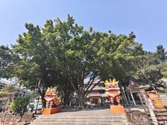 -东莞市可园博物馆