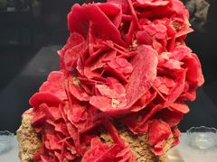 -湖南省地质博物馆