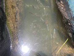 -海上驿站渔家菜馆