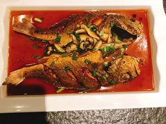 -丝恋丝娃娃(逸天城国贸店)