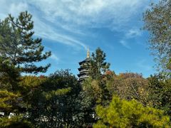 -运河游船(武林门码头)