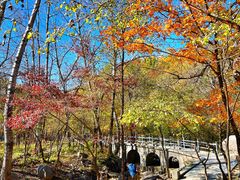 -玉渡山自然风景区
