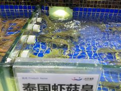 -欢乐海岸美食联盟