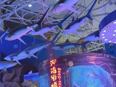 -烟台海昌鲸鲨海洋公园