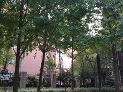 -上海市黄浦区教育学院附属中山学校