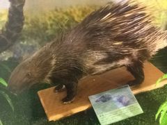 -下渚湖国家湿地公园科普馆