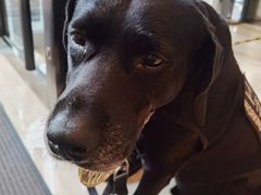 -京基滨河时代广场