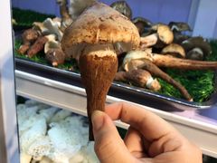 -七采菌园·石锅鱼野生菌火锅(环城北路店)