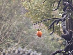 -西山人家·二十年老字号农家菜(旺山店)