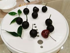 -食神鱼头佛跳墙(百子湾旗舰店)