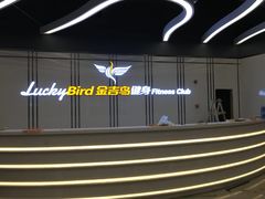 -金吉鸟健身游泳