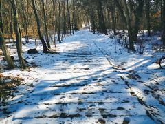 -沈阳辉山风景区