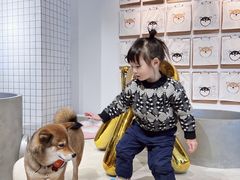 -柴务处·柴犬主题狗咖