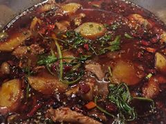 -川囧肥肠鸡·美蛙鱼锅(平高广场店)