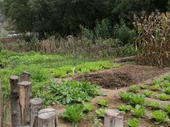 -延安杨家岭革命旧址