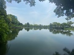 -无锡蠡湖国家湿地公园-蠡园
