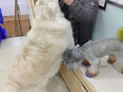 -宠福鑫康馨动物医院·骨科·眼科