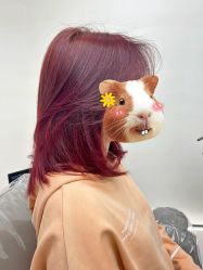 -川崎形象·GANO HAIR  salon