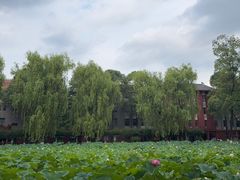 -四川大学(望江校区)