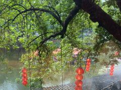 -侨美·唐荔园·40年地道粤菜