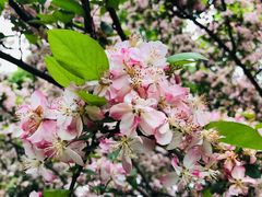 -白鹭湾湿地公园