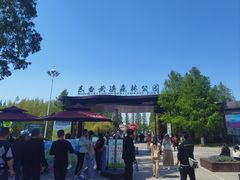 -黄海国家森林公园