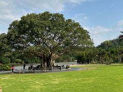 -深圳仙湖植物园