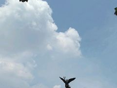 -大嶝英雄三岛战地观光园