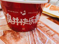-黑色经典臭豆腐·湖南特产(坡子街店)